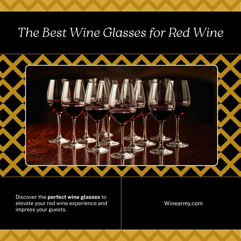 Best Wine Glasses for Red Wine