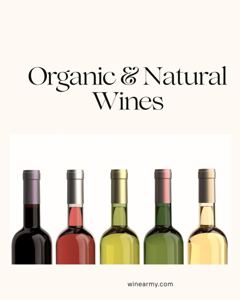 organic and natural wines