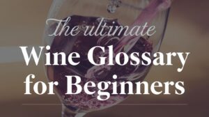 wine glossary for beginners